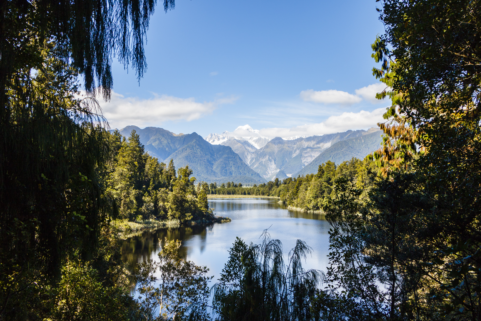 Back to New Zealand