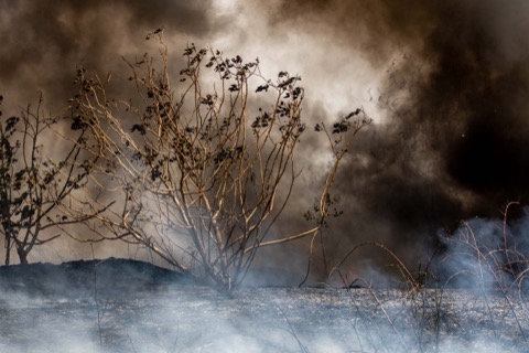 Fire. Near Home 1