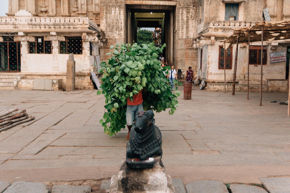 India 18