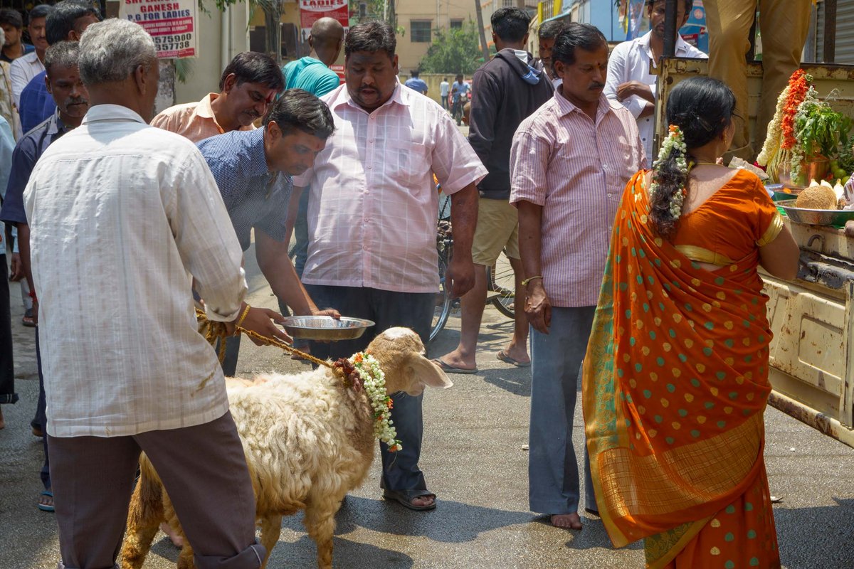 India 32