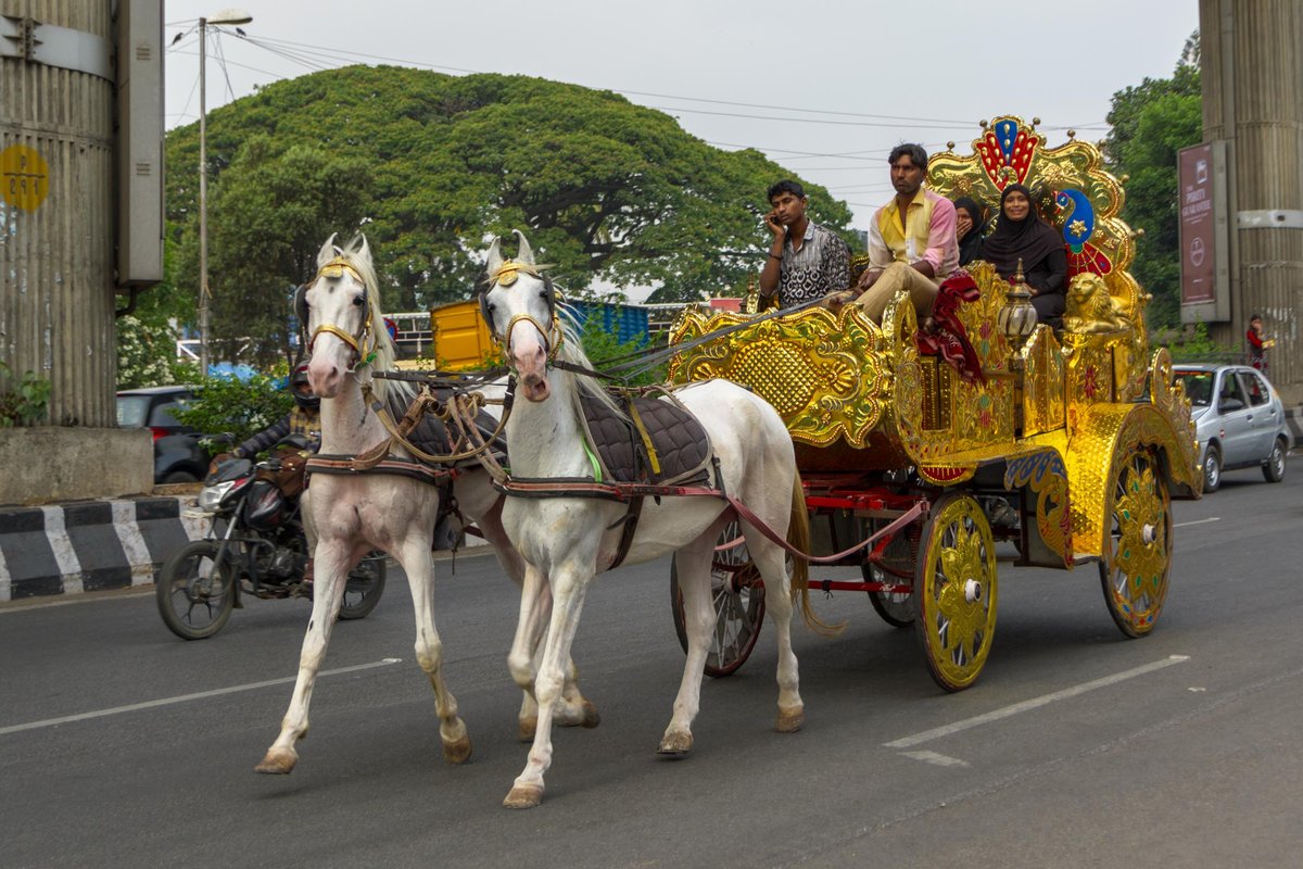 India 42