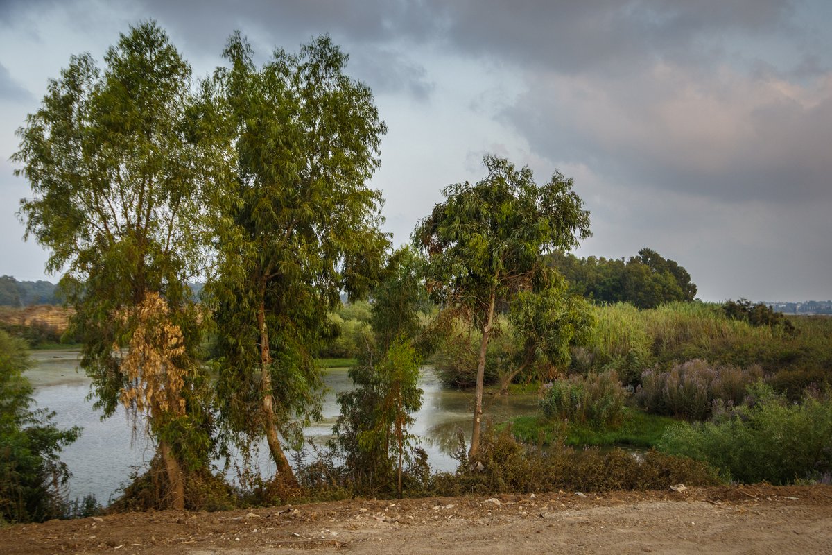Landscapes 13