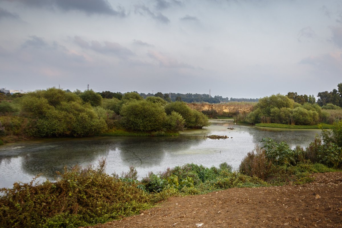 Landscapes 14