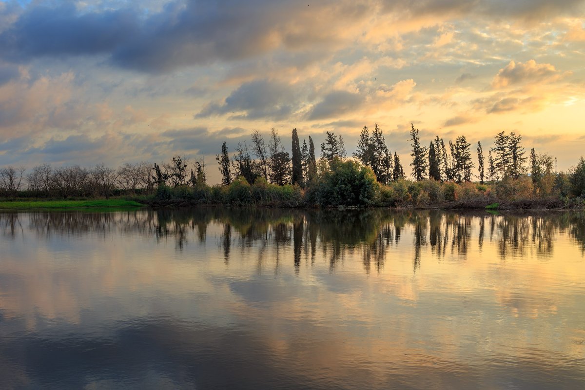Landscapes 15