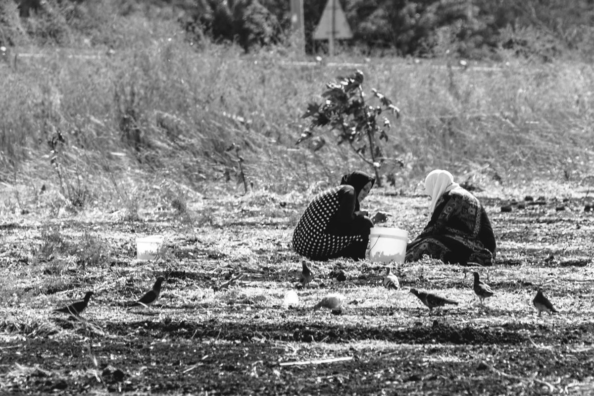 Monochrome 5