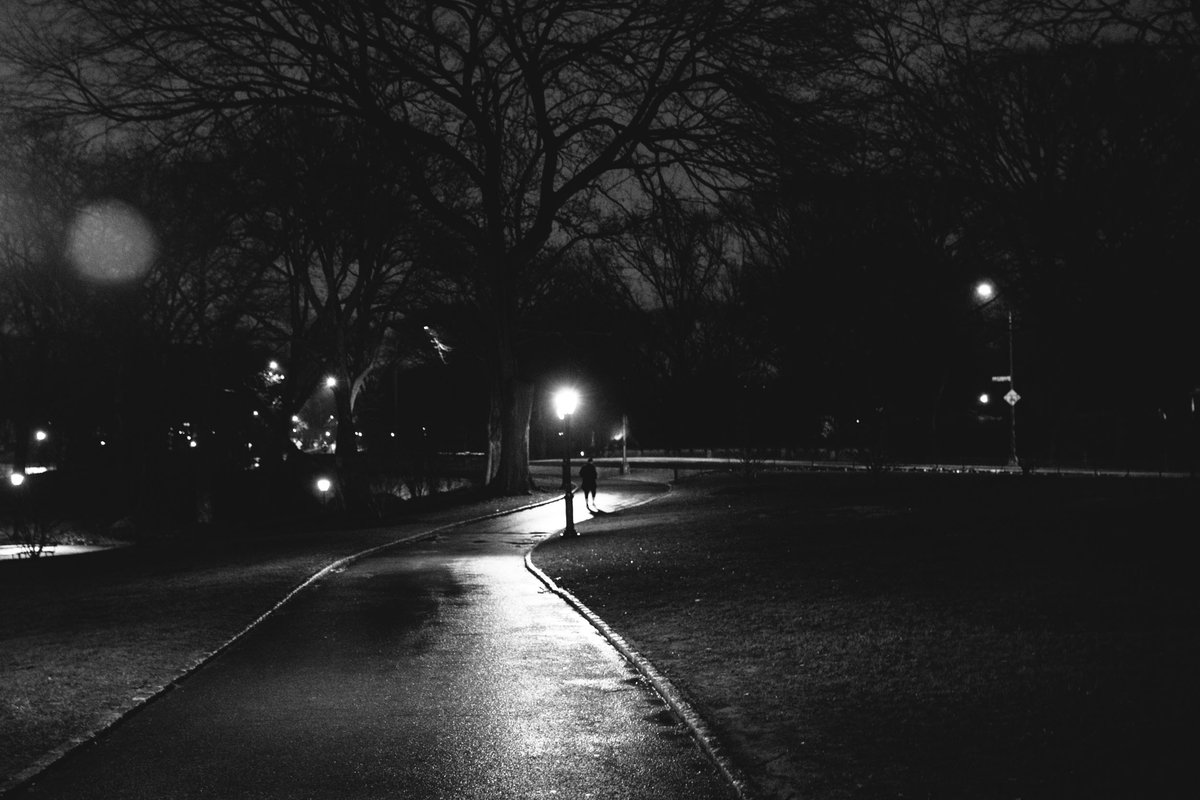 Monochrome 28