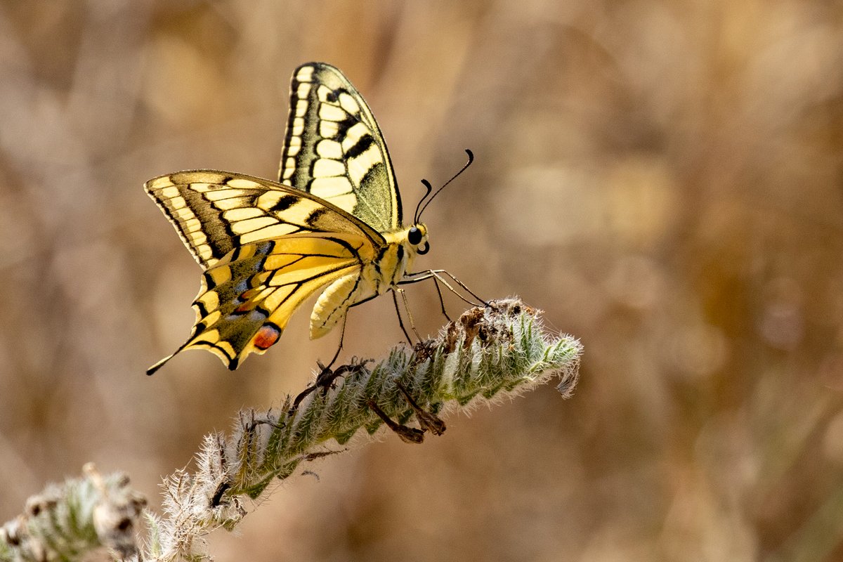 Nature 48