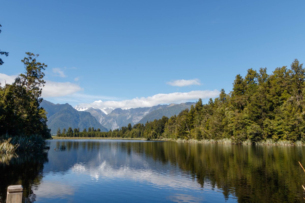 New Zealand 8