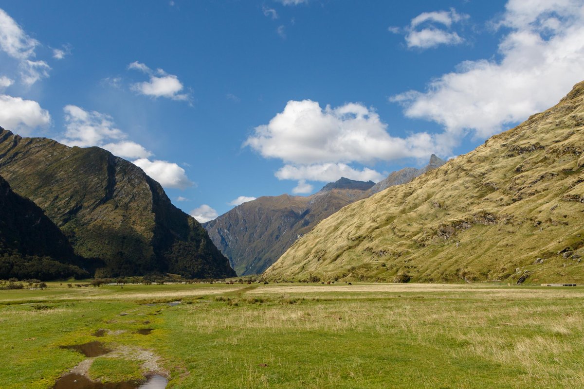 New Zealand 13