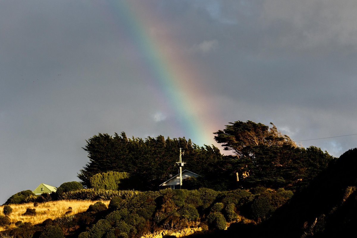 New Zealand 30