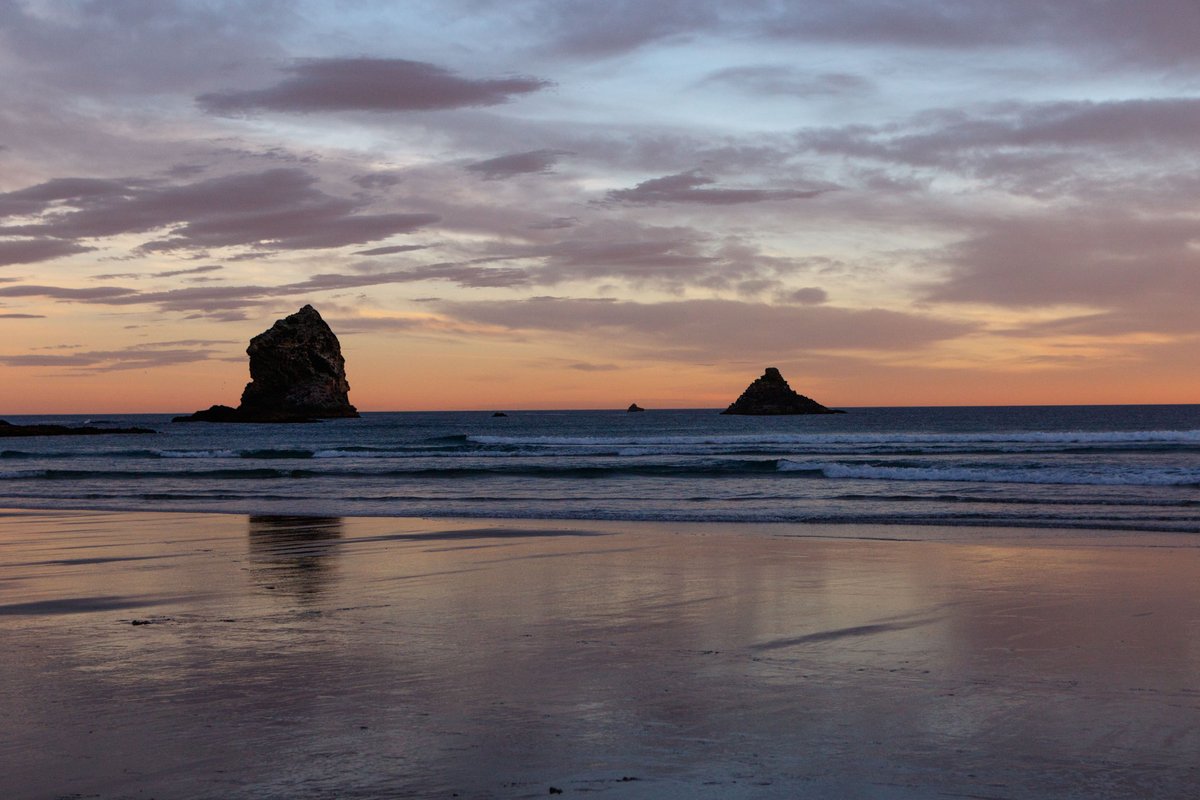 New Zealand 31