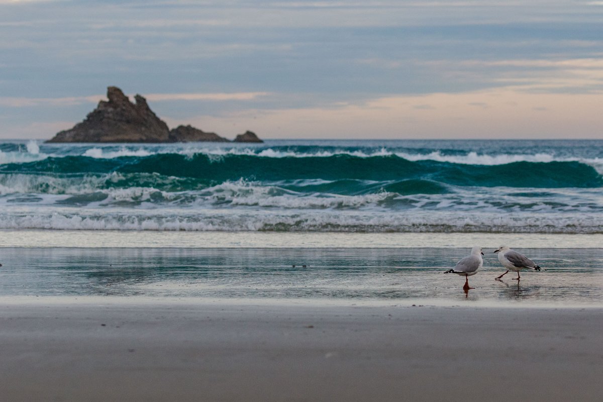 New Zealand 36