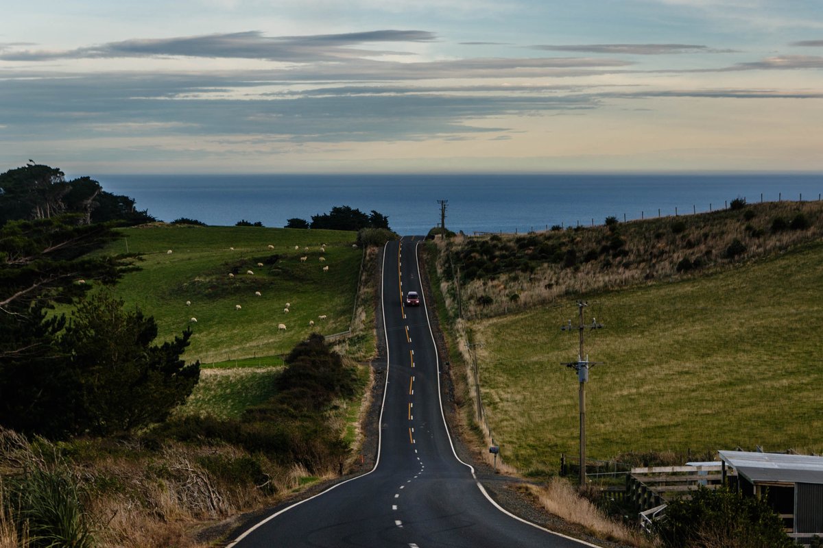 New Zealand 37