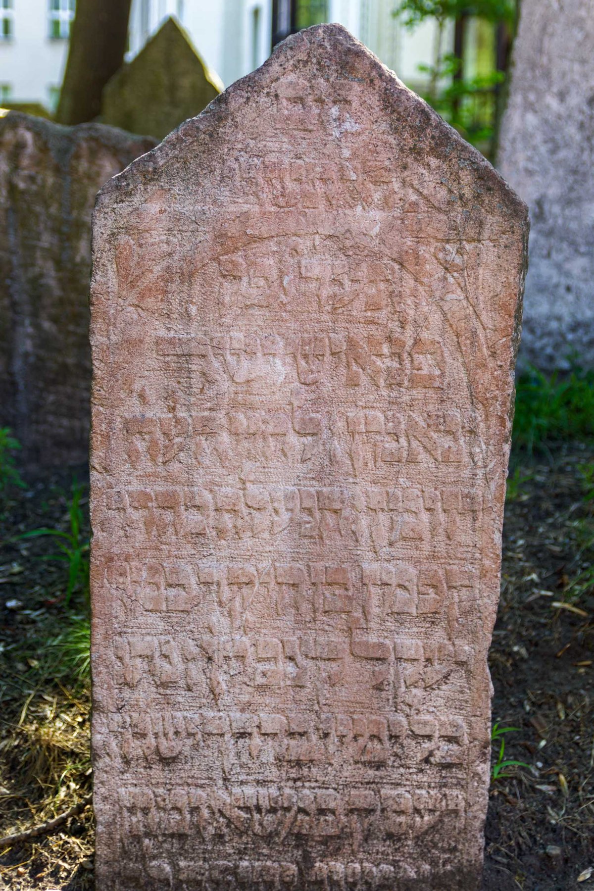 Prague 26
