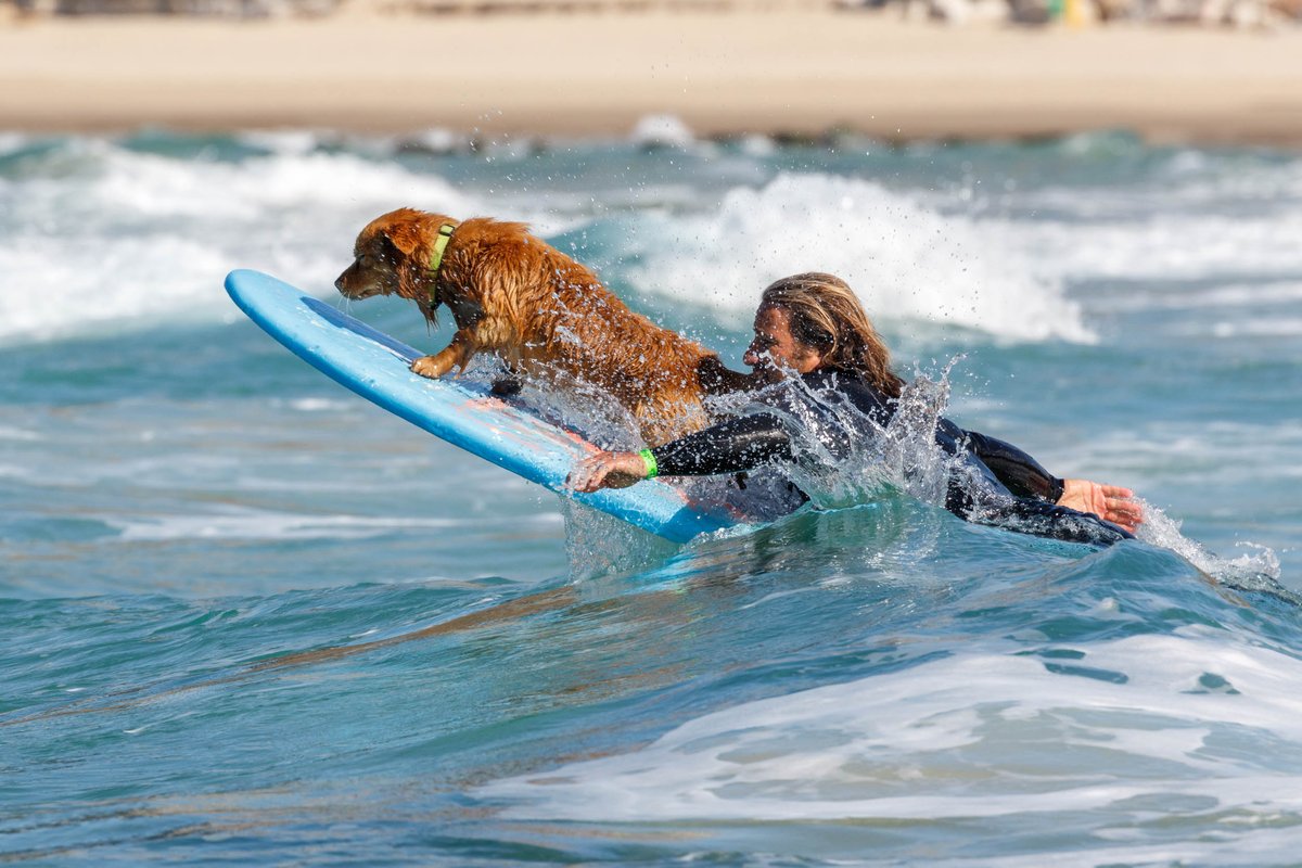 Surfing 7